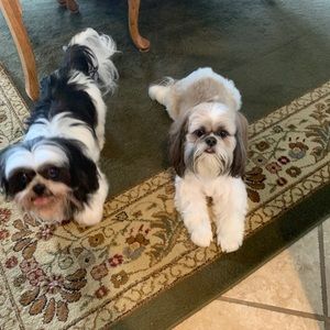 Meet your Posher, Donna